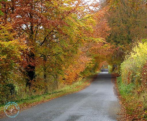 Scottish Borders 9T012D-004.JPG